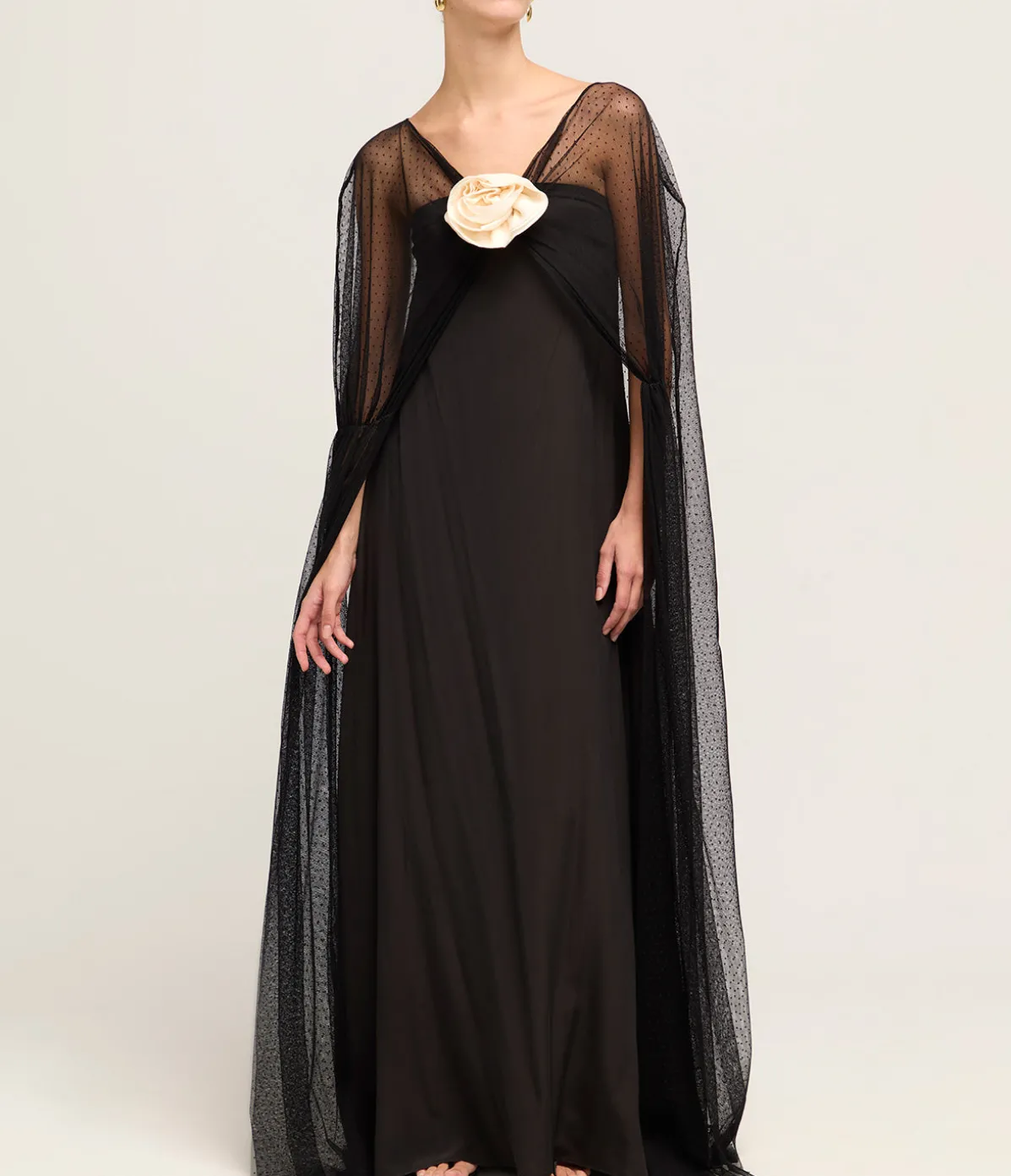Delphine Sheer Maxi Dress In Black