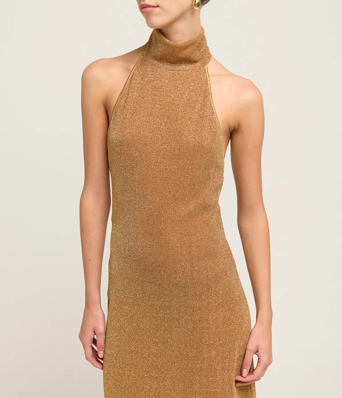 Lumiere Plumage Turtleneck Dress In Toffee